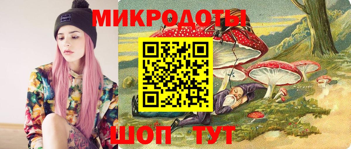Верхняя Пышма  Псилоцибиновые грибы Psilocybe  Псилоцибиновые грибы Psilocybe  Вход с VPN 