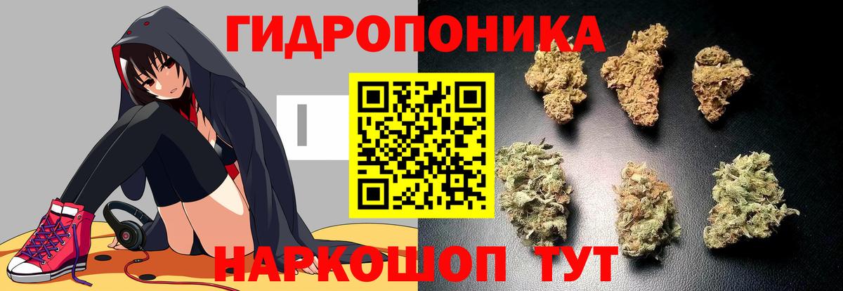 Шишки марихуана сатива  Вход с VPN  Бошки марихуана марихуана  Верхняя Пышма  Бошки марихуана тримм 